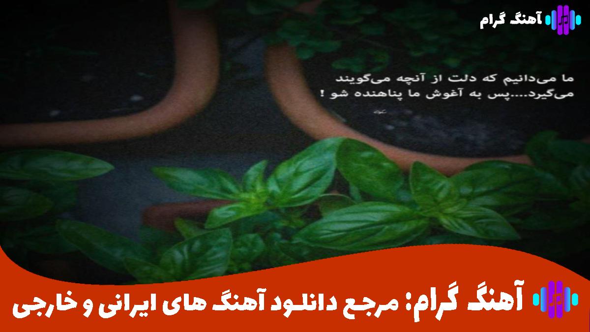 کاور آهنگ فرق داری با همه تورو میبینمت میزنه ضربان قلبم از 